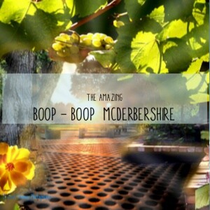 The amazing Boop Boop McDerbershire for those who never grow too old to dream and have a goal in life. A photo book about Moms Love by Richard Thomas photography