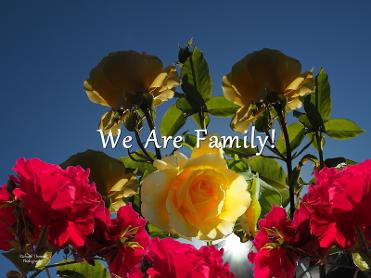 We R Family by Richard Thomas